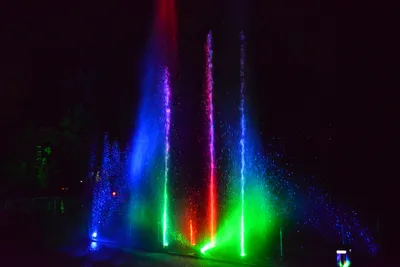 DSC_7045 (Large).JPG